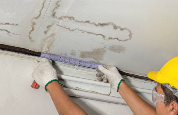 Reliable Water Damage contractor in Williston, FL by Water Damage Irwin